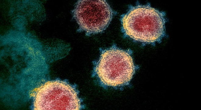  Cientistas querem estudar mutações do coronavírus e de que forma patógeno age no organismo | Divulgação