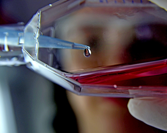 foto mostra pesquisadora colocando em gotas um líquido dentro de outro recipiente em um laboratório