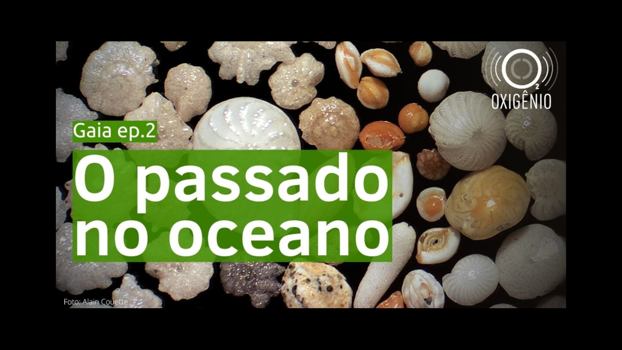 capa1