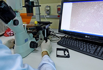 Pró-Reitoria de Pós-Graduação lança Edital para Competição de Vídeos Pró-Reitoria de Pós-Graduação lança Edital para Competição de Vídeos
