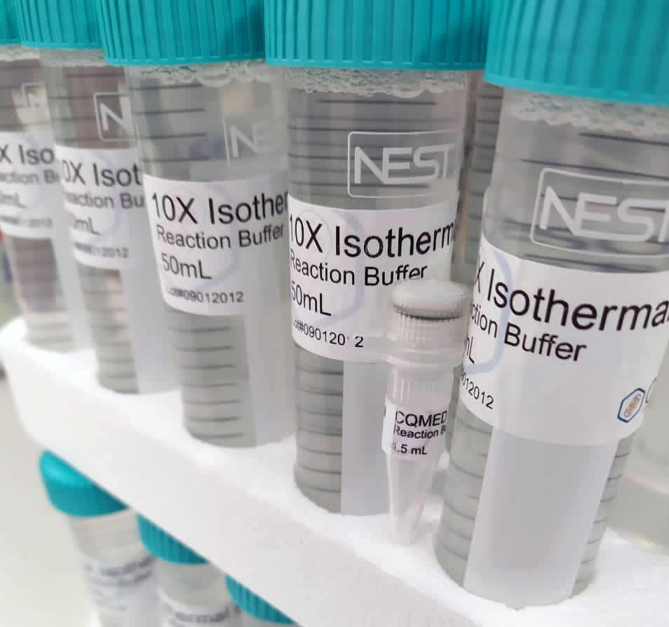 O protocolo de produção de enzimas para o teste de saliva desenvolvido pelo CQMED mostrou-se capaz de abreviar o tempo de produção e gerou insumos para 400 mil testes de saliva. Até o fim de janeiro serão produzidos mais 200 mil dessas enzimas que são o coração do teste de saliva. O protocolo de produção de enzimas para o teste de saliva desenvolvido pelo CQMED mostrou-se capaz de abreviar o tempo de produção e gerou insumos para 400 mil testes de saliva. Até o fim de janeiro serão produzidos mais 200 mil dessas enzimas que são o coração do teste de saliva.