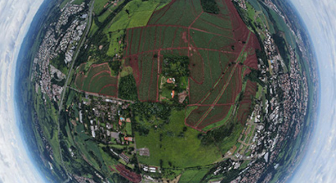 Área que será ocupada pelo HIDS. Crédito: Luis Francisco Macedo/Depi/Unicamp Área que será ocupada pelo HIDS. Crédito: Luis Francisco Macedo/Depi/Unicamp