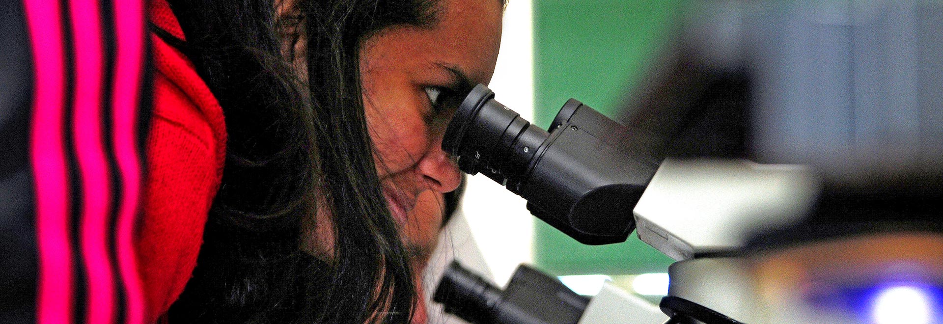 foto mostra garota olhando pelas objetivas de um microscópio 