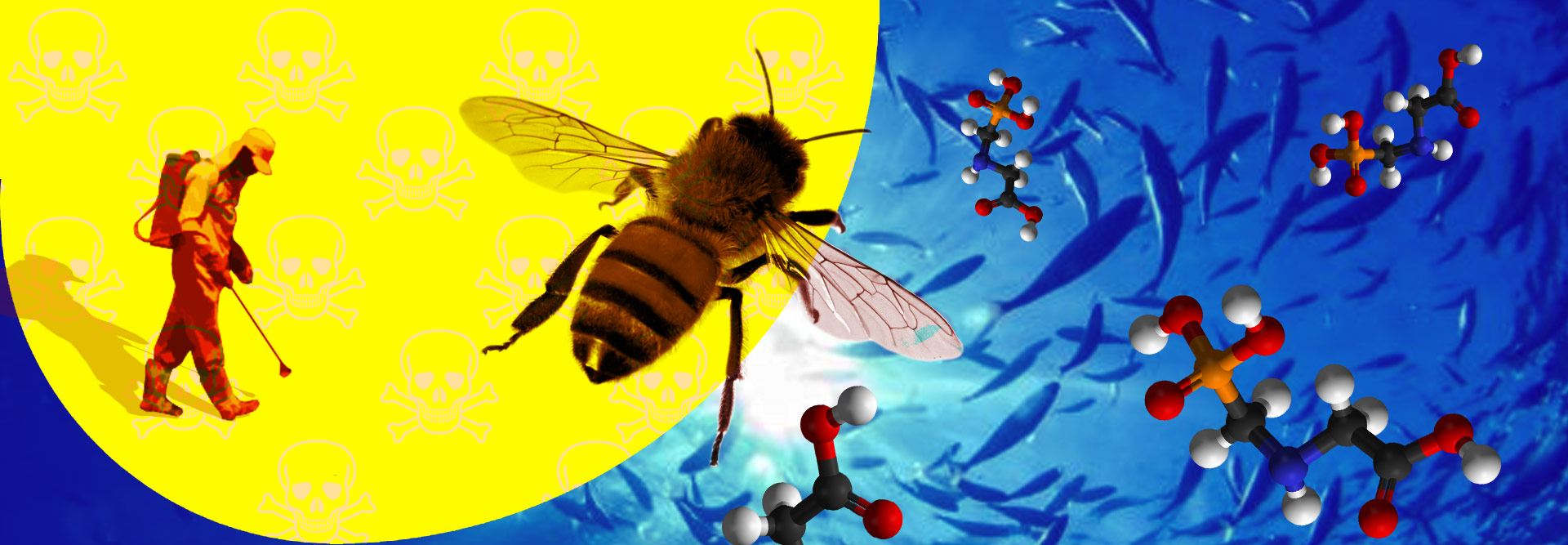 Laboratório de Ecotoxicologia e Genotoxicidade (LAEG) da Unicamp investiga a presença de inseticidas, corantes e nanocompostos nas águas