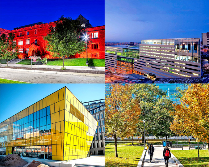McMaster University | Polytechnique Montréal | Linnaeus University | Carleton University