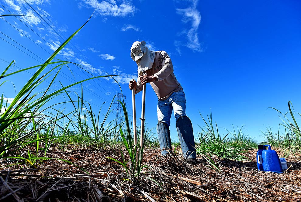 Trabalho de diagnóstico arqueológico da área do HIDS