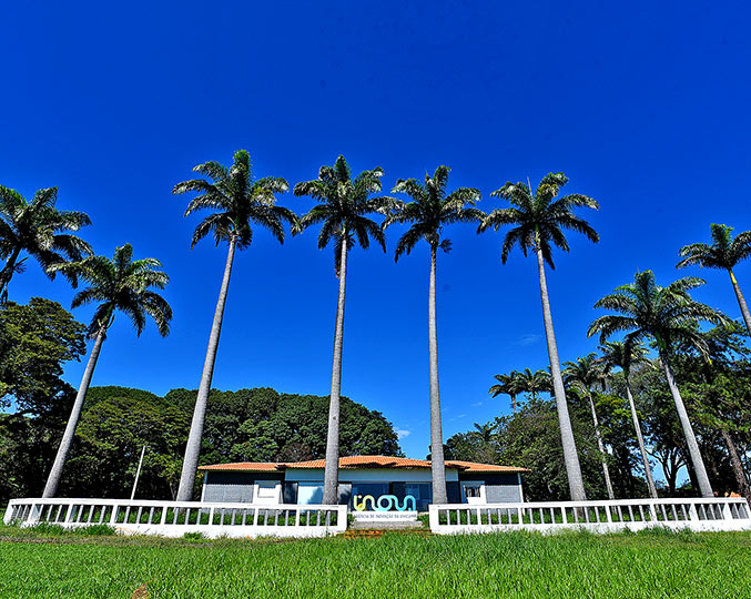 Área externa da sede da Fazenda Argentina