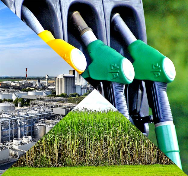 Parcerias internacionais para reduzir o custo do biocombustível de celulose