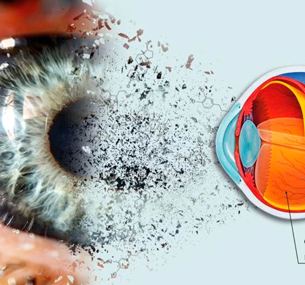 Pesquisa da FCM valida novo método para identificar uso de drogas no olho após a morte