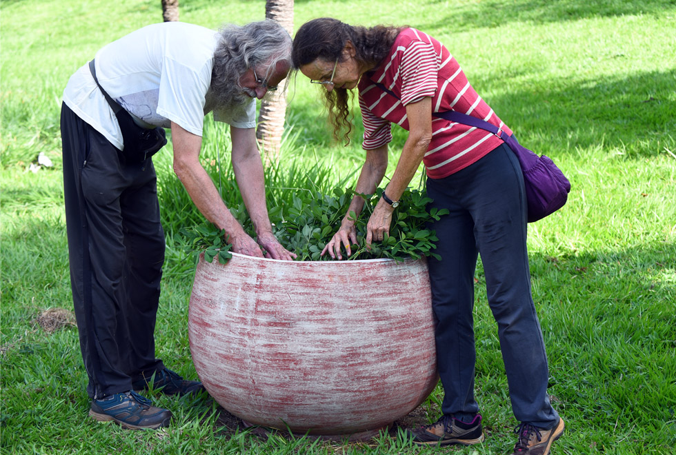 Jardim Educativo da Unicamp 