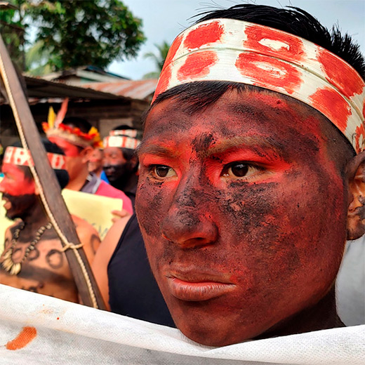 audiodescrição: fotografia colorida de indígenas em uma manifestação