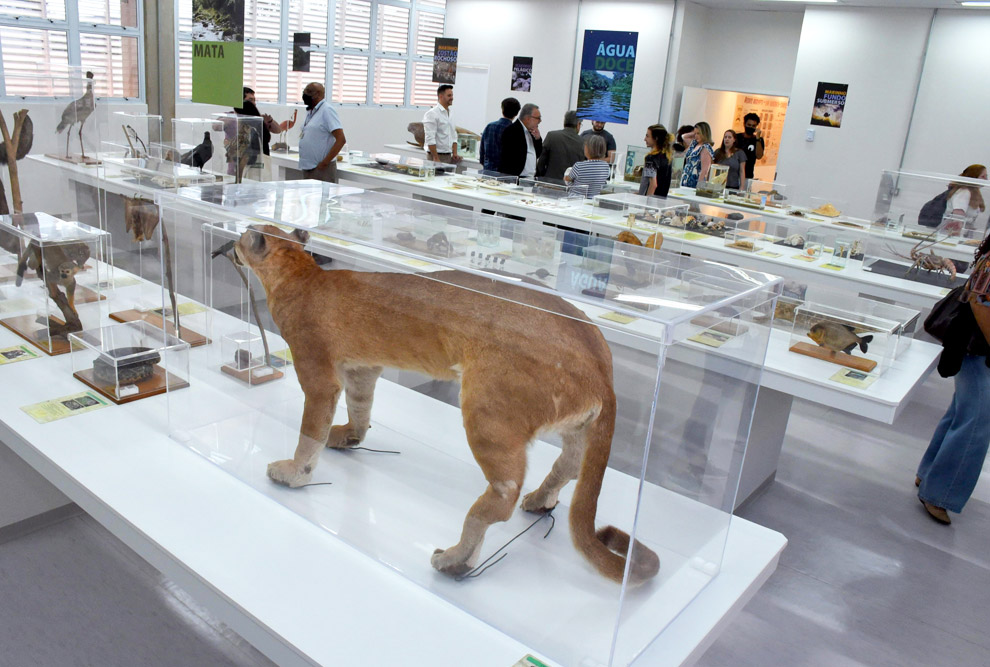 MDBio é uma conquista coletiva MDBio é uma conquista coletiva