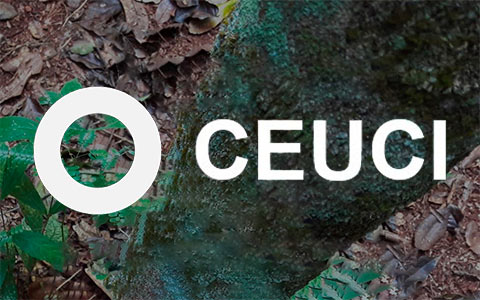 Unicamp inaugura Centro de Estudos sobre Urbanização para o Conhecimento e a Inovação Unicamp inaugura Centro de Estudos sobre Urbanização para o Conhecimento e a Inovação