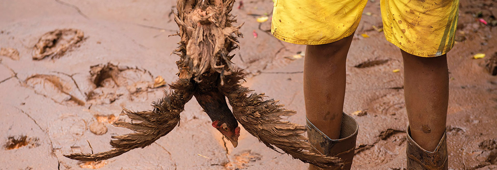Foto de mostra os pés de uma criança enterrados na lama. Ele usa botas, bermuda branca e está segurando uma galinha que aparece de cabeça para baixo.