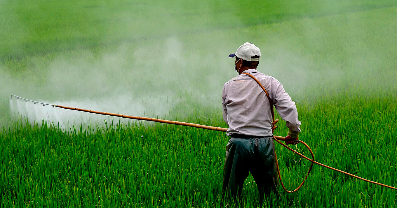 Foto de um homem aplicando herbicida em uma plantação. Ele aparece de costas, usa calça escura, camisa clara e boné.