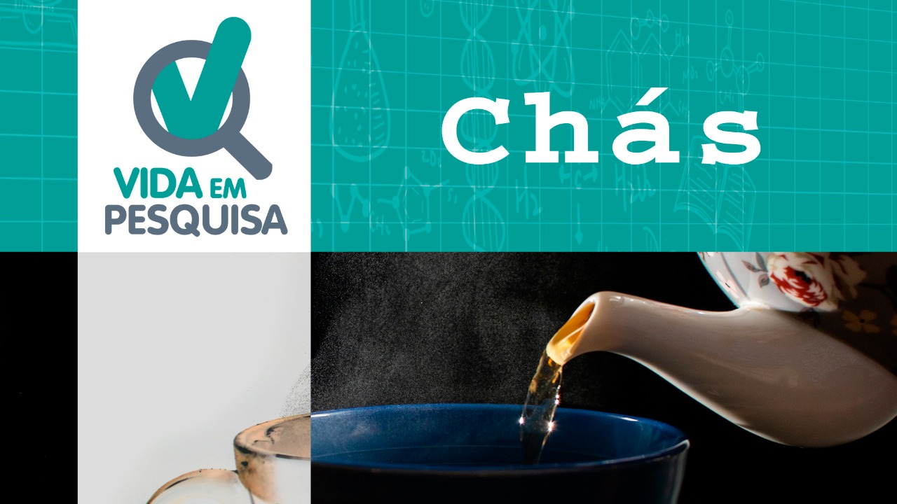 Imagem de uma chaleira de chá, despejando líquido sob o logo do quatro vida em pesquisa em branco e verde