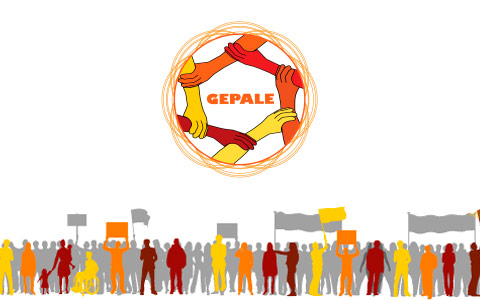 Seminário on-line do Gepale debate política de ações afirmativas a partir da perspectiva da diversidade