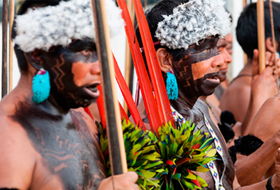 Por meio desta nota, a Comissão de Recepção de Alunos Indígenas da FCM vem alertar a gravidade desses eventos que atingem drasticamente o povo Yanomami em âmbito social, ambiental, sanitário e político