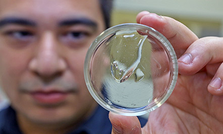 O pesquisador Rafael Ishikawa: o objetivo da pesquisa foi desenvolver um desinfetante com alto poder bactericida que ao ser aplicado na forma aquosa reagisse no local formando instantaneamente um gel