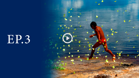 Imagem de capa do vídeo com foto de criança indígena entre borboletas