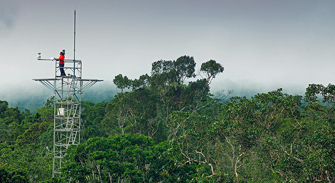 O projeto AmazonFace, quer compreender como o bioma vai reagir – em 30 ou 50 anos – em relação ao aumento de CO2 na atmosfera O projeto AmazonFace, quer compreender como o bioma vai reagir – em 30 ou 50 anos – em relação ao aumento de CO2 na atmosfera