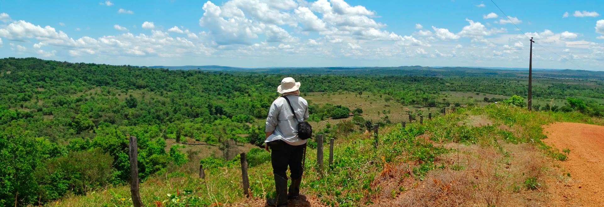 Local de mapeamento em União do Norte, distrito de Peixoto de Azevedo, no Mato Grosso Local de mapeamento em União do Norte, distrito de Peixoto de Azevedo, no Mato Grosso