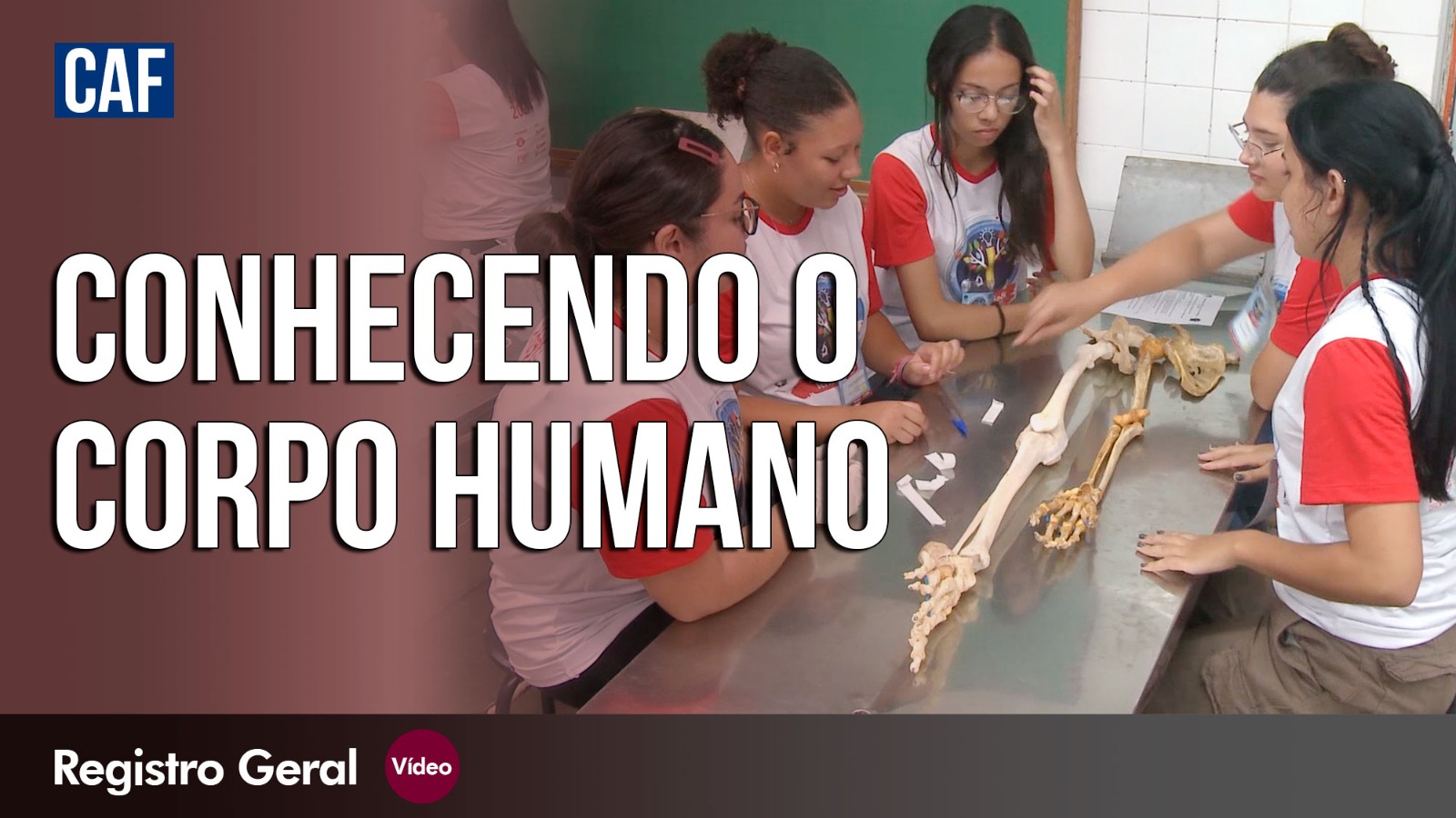 título escrito em letras brancas - conhecendo o corpo humano - divide a tela com alunos estudando partes de um esqueleto humano