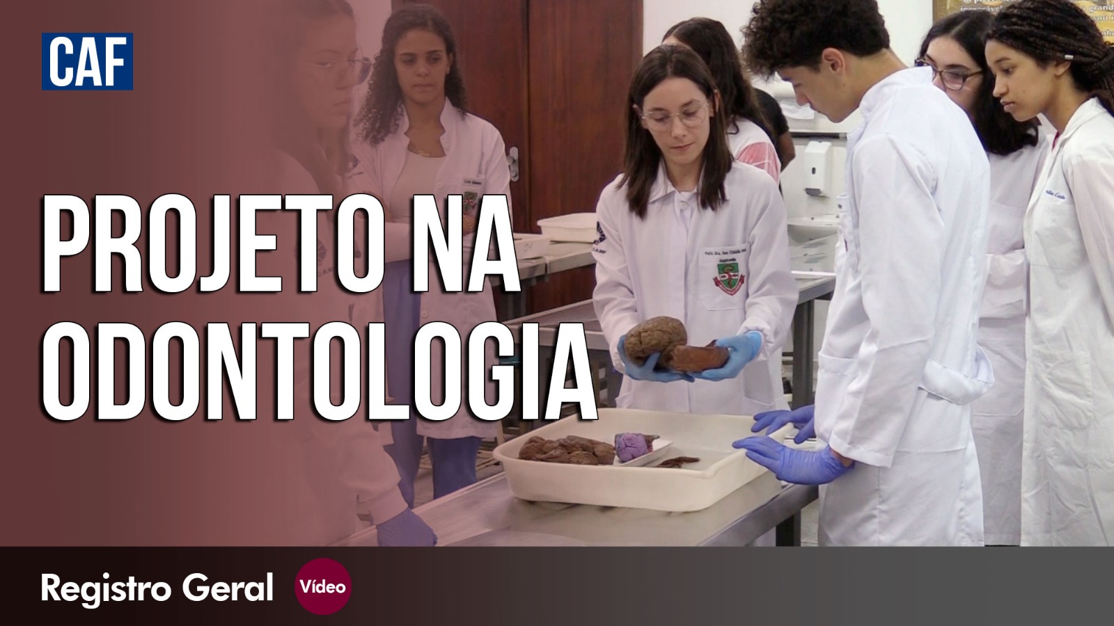 tela dividida, fundo rosa com legenda - projeto na odontologia - outra metade imagem alunos em laboratório