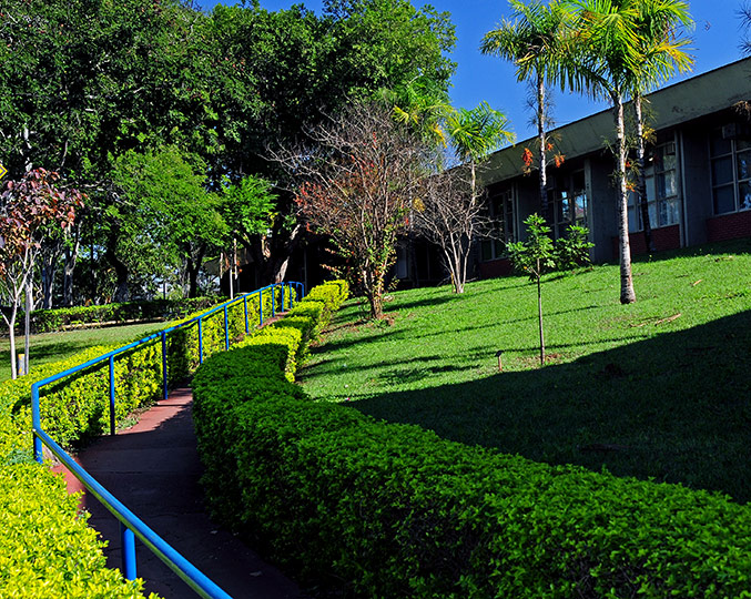 Fachada do campus da Faculdade de Odontologia de Piracicaba(FOP) Foto: Antonio Scarpinetti Fachada do campus da Faculdade de Odontologia de Piracicaba(FOP) Foto: Antonio Scarpinetti