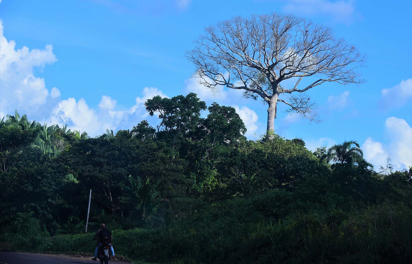 Motociclista trafega em rodovia do município de Atalaia do Norte (AM) Audiodescrição: Imagem 32 de 41.