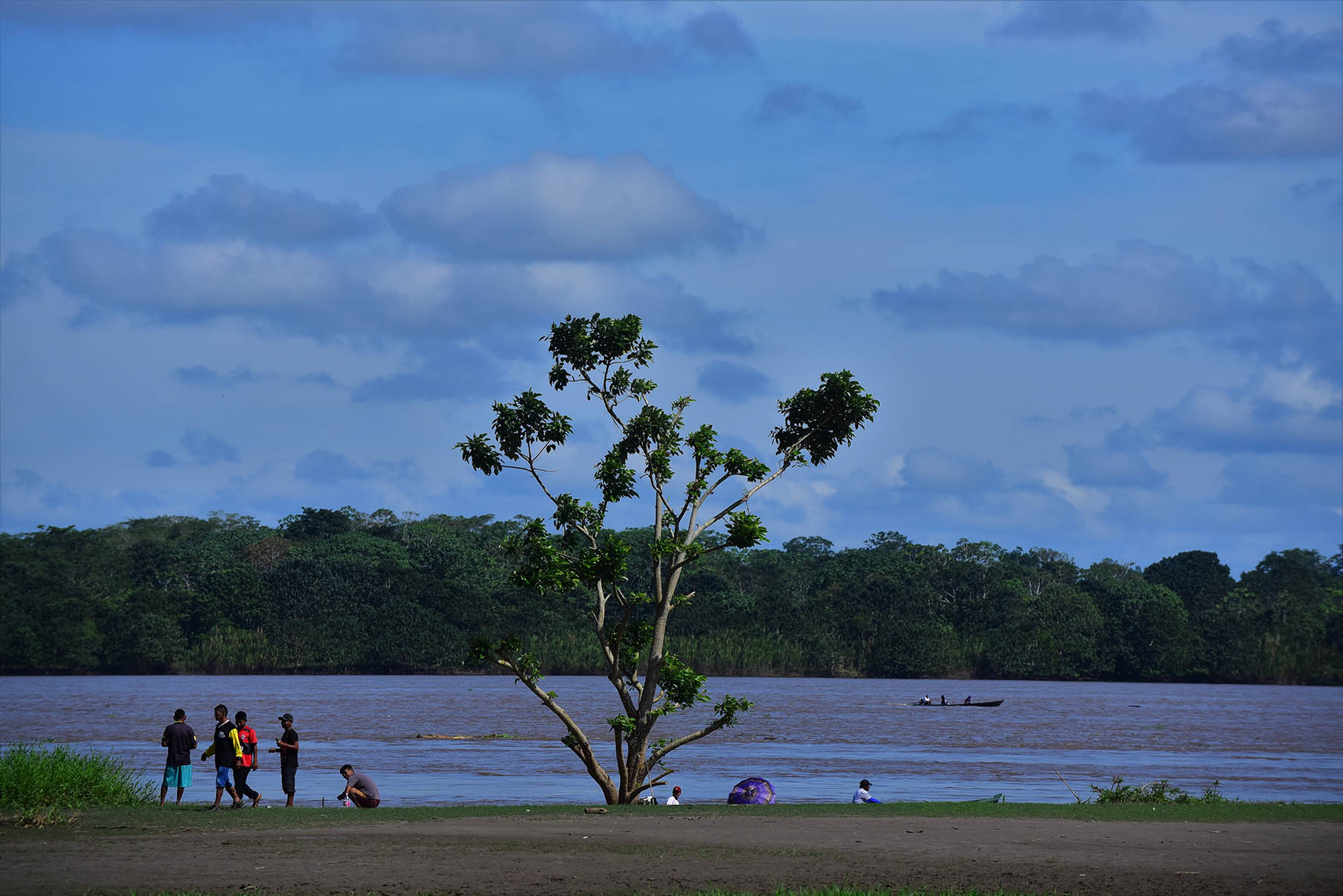 Paisagem do Rio Amazonas, em Umariaçu, no município de Tabatinga (AM) Audiodescrição: Imagem 39 de 41.