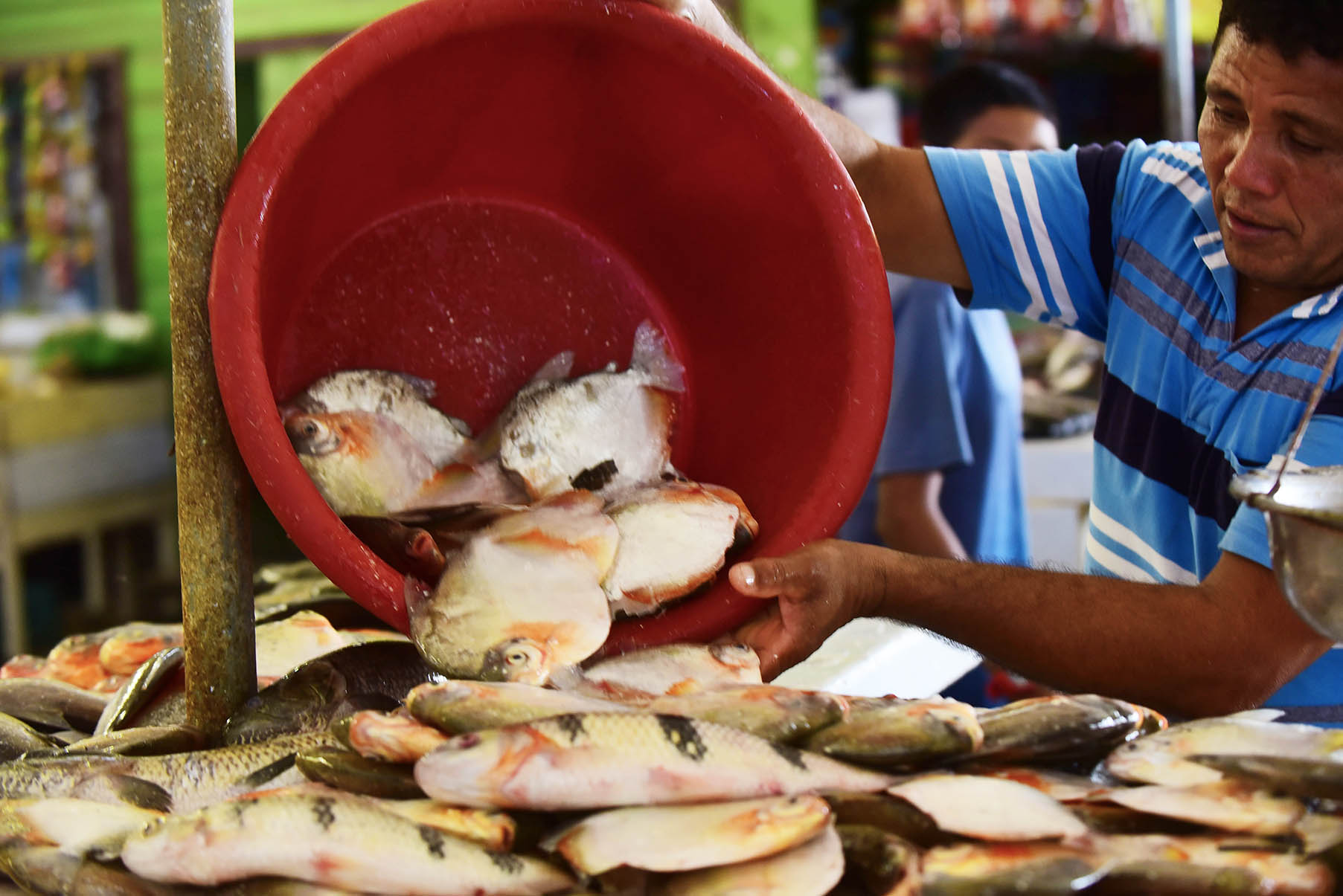 Vendedor de peixes Audiodescrição: Imagem 40 de 41.
