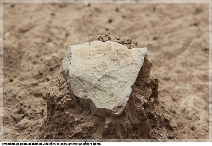 Ferramenta de pedra de mais de 3 milhões de anos, anterior ao gênero Homo