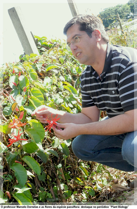 O professor Marcelo Dornelas e as flores da espécie passiflora: destaque no periódico “Plant Biology”