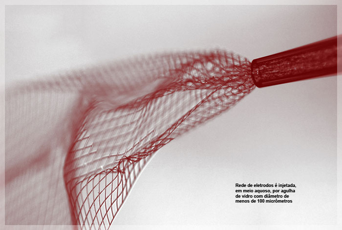 Rede de eletrodos é injetada, em meio aquoso, por agulha  de vidro com diâmetro de menos de 100 micrômetros 