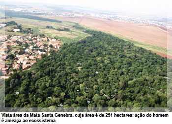 Vista área da Mata Santa Genebra, cuja área é de 251 hectares: ação do homem é ameaça ao ecossistema