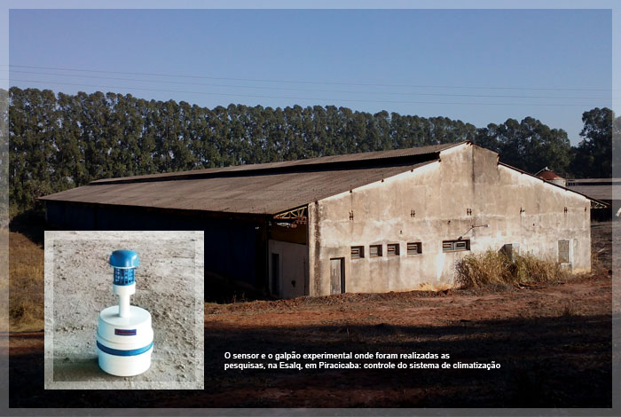 O sensor e o galpão experimental onde foram realizadas as pesquisas, na Esalq, em Piracicaba: controle do sistema de climatização