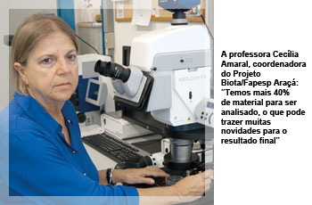 A professora Cecília Amaral, coordenadora do Projeto Biota/Fapesp Araçá: “Temos mais 40% de material para ser analisado, o que pode trazer muitas novidades para o resultado final”