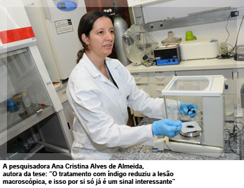 A pesquisadora Ana Cristina Alves de Almeida, autora da tese: “O tratamento com índigo reduziu a lesão macroscópica, e isso por si só já é um sinal interessante”