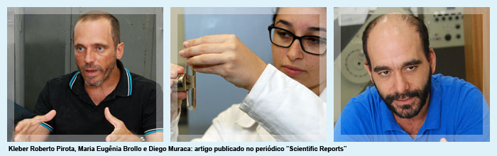 Kleber Roberto Pirota, Maria Eugênia Brollo e Diego Muraca: artigo publicdo no periódico "Scientific Reports"