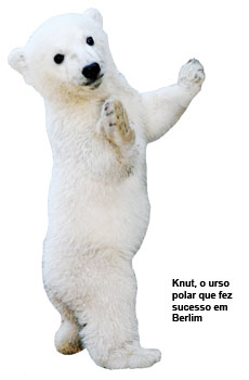 Knut, o urso polar que fez sucesso em Berlim
