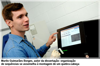 Murilo Guimarães Borges, autor da dissertação: organização de sequências se assemelha à montagem de um quebra-cabeça