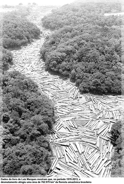 Dados do livro de Luiz Marques mostram que, no período 1970-2013, o desmatamento atingiu uma área de 762.979 km² da floresta amazônica brasileira