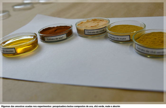 Algumas das amostras usadas nos experimentos: pesquisadora testou compostos de uva, chá verde, mate e alecrim