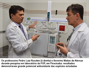 Os professores Pedro Luiz Rosalen (à direita) e Severino Matias de Alencar durante pesquisa em laboratório da FOP, em Piracicaba: resultados demonstraram grande potencial antioxidante das espécies estudadas