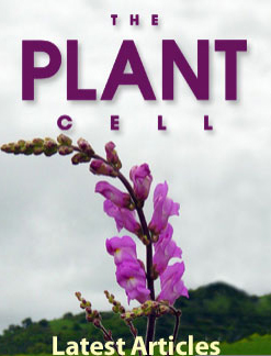 Capa da revista Tlhe Plant Cell