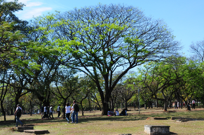 Visitantes no campus 