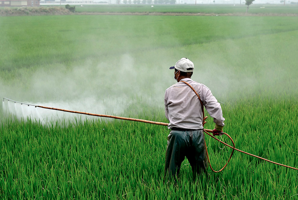 Foto de um homem fazendo uma aplicação de herbicidas em um campo cultivado. Ele aparece de costas, usa calça escura e camisa clara e boné.