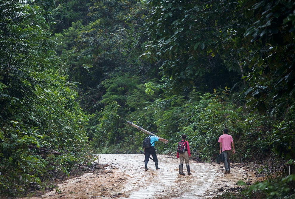 Pesquisadores do AmazonFACE em trabalho de campo: monitorando os impactos causados pelo aumento da concentração de gás carbônico atmosférico na floresta