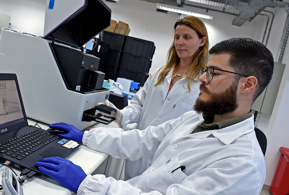 Os pesquisadores Katlin Massirer e Micael Cunha: avanço na busca por compostos que podem tratar pessoas com disfunções lisossomais